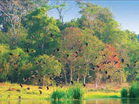 Parc-Ornithologique-Tam-Nong